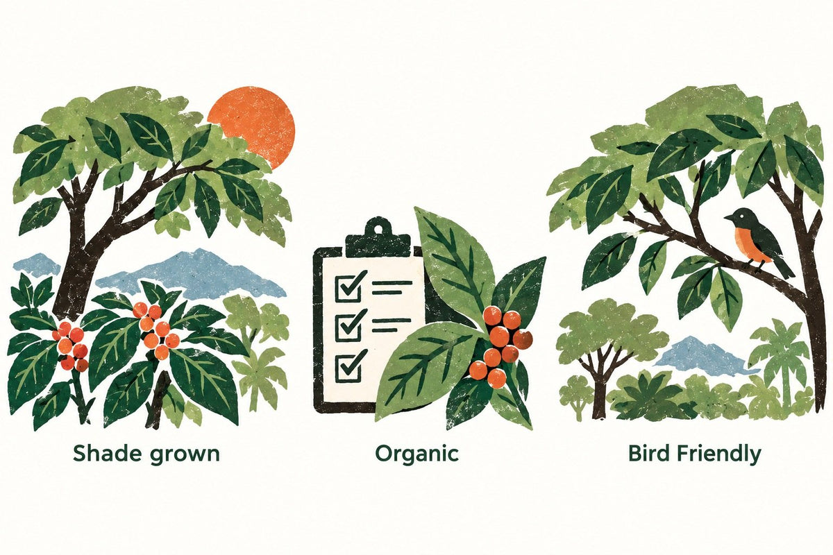 How to Read Coffee Sourcing Claims