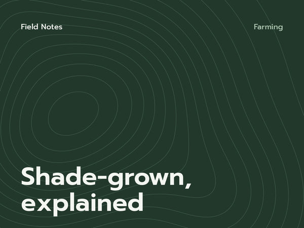 Field Notes cover: Shade-grown, explained