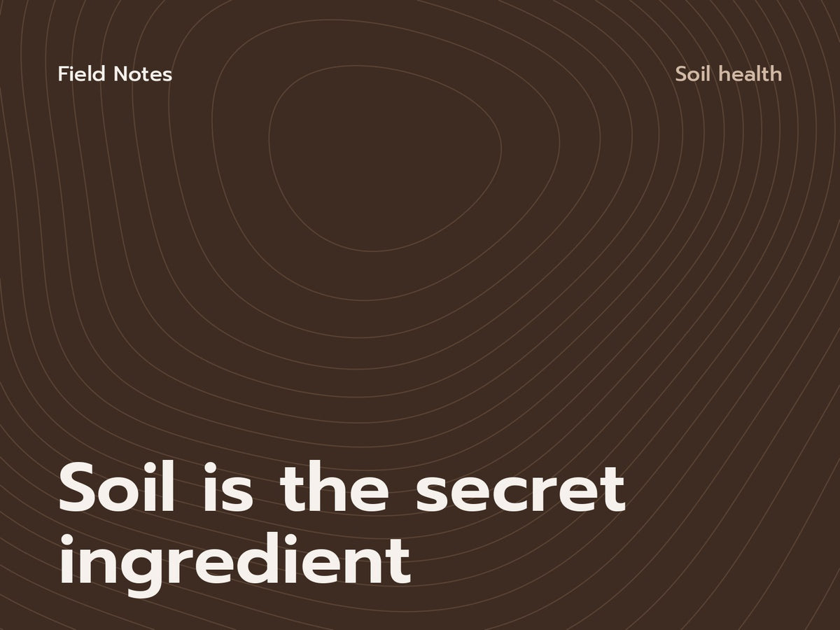 Field Notes cover: Soil is the secret ingredient