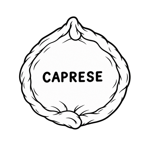 Caprese empanada, hand-folded